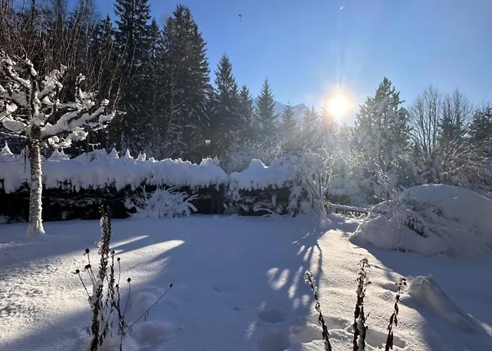 Le 1853 * שאמוני