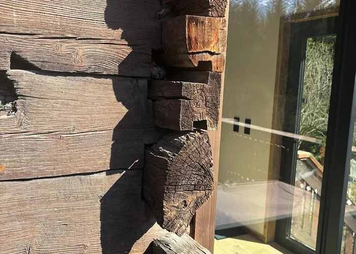 Le 1853 שאמוני